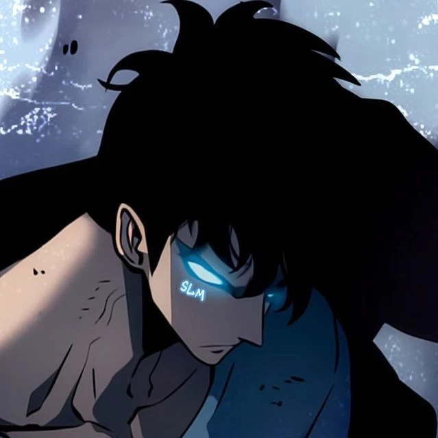 Solo Leveling Memes | Поднятие уровня в одиночку