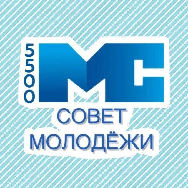 Совет молодежи ФНС_55