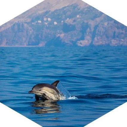 Логотип канала Крым