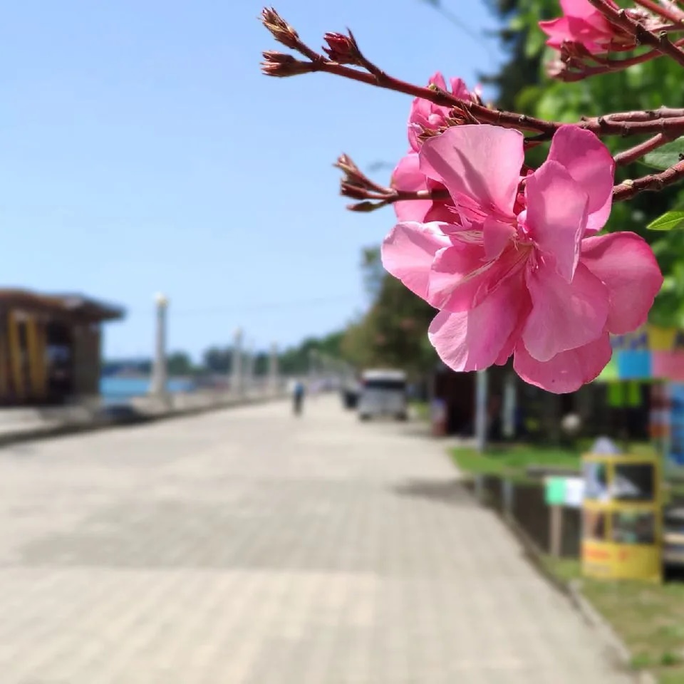 Фотография канала Max Abkhazia Open