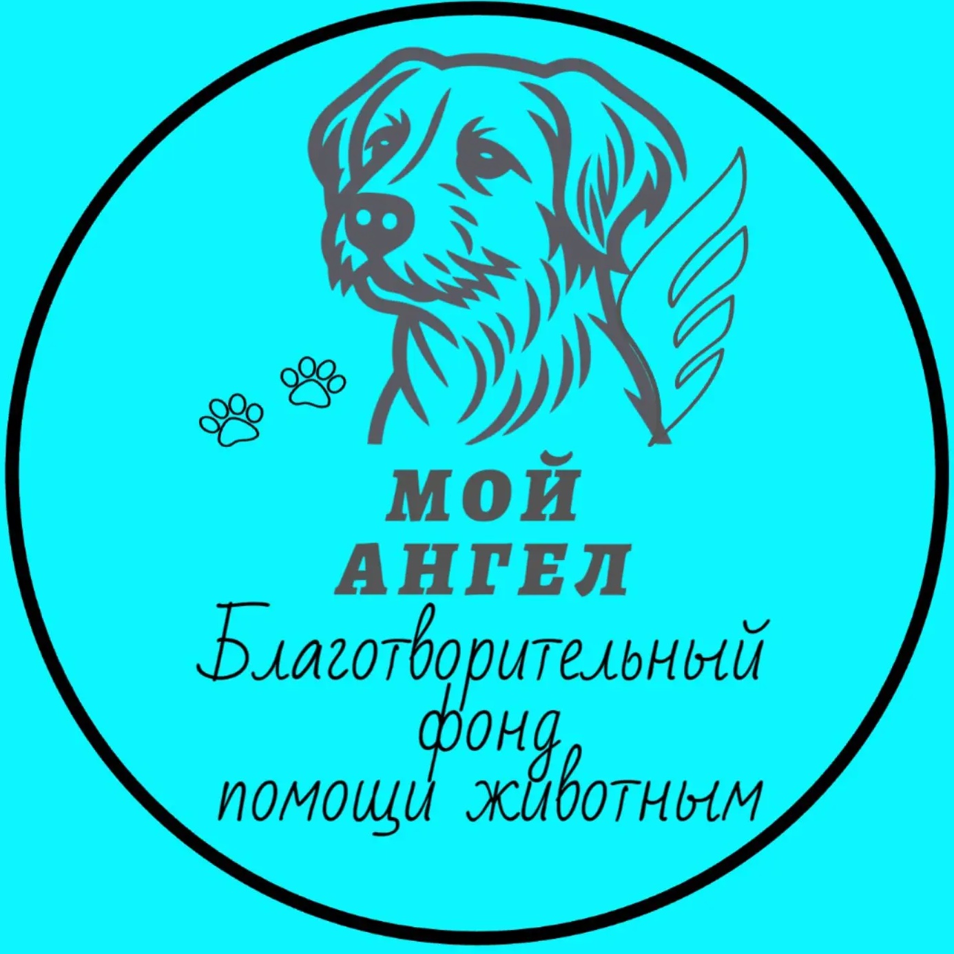 Фотография канала Max БФ"Мой Ангел"- помощь животным
