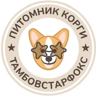 Фотография канала Max Корги
