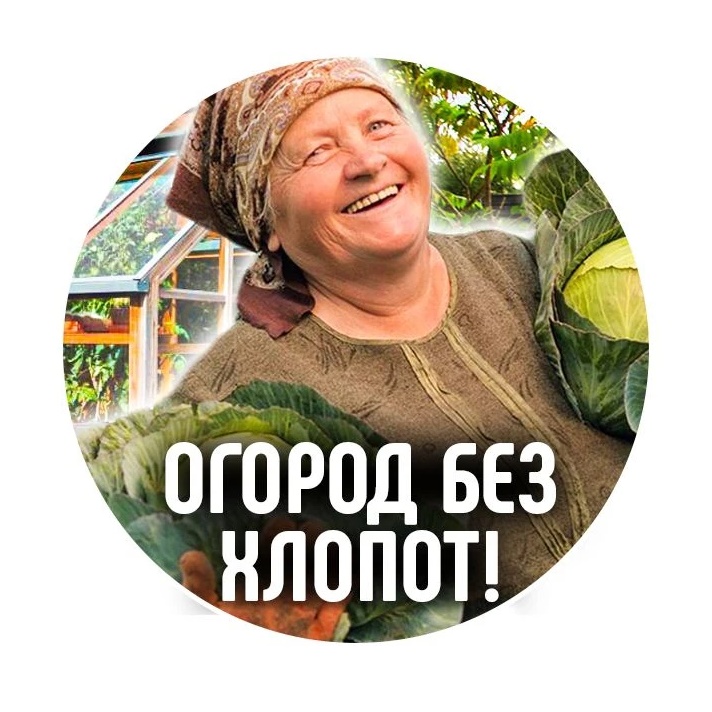 Фотография канала Max Огород без хлопот|Дача