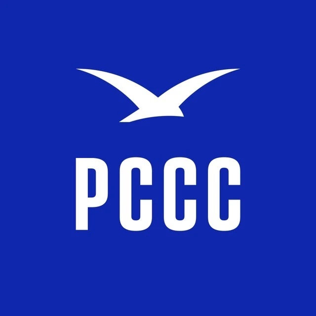 Логотип канала РССС <БУРЕВЕСТНИК>