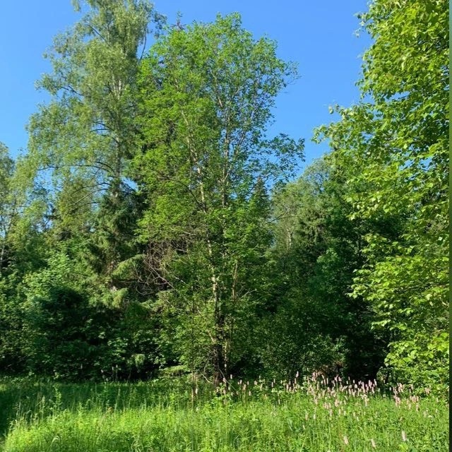 Земельные споры / ZemelnyeSpory