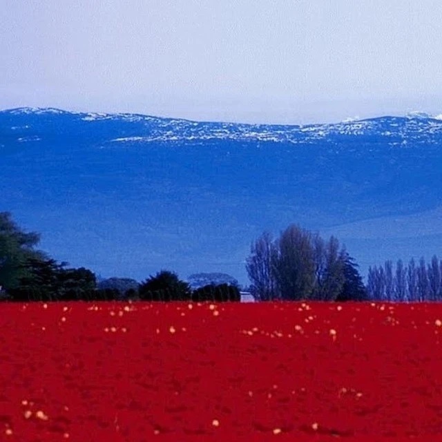 Логотип канала Россия Молодая