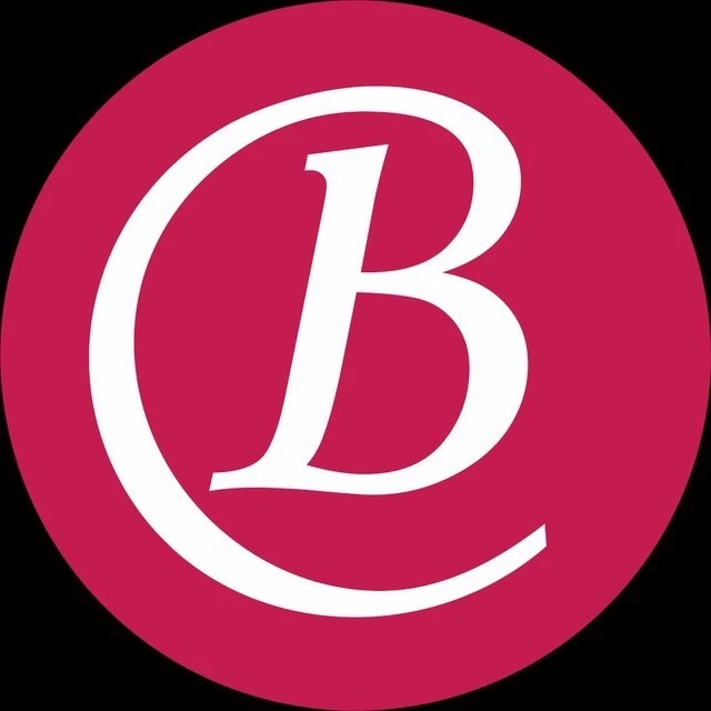 Логотип канала Business Class: новости Перми