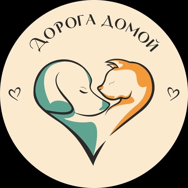 Логотип канала Дорога Домой (г. Муром)