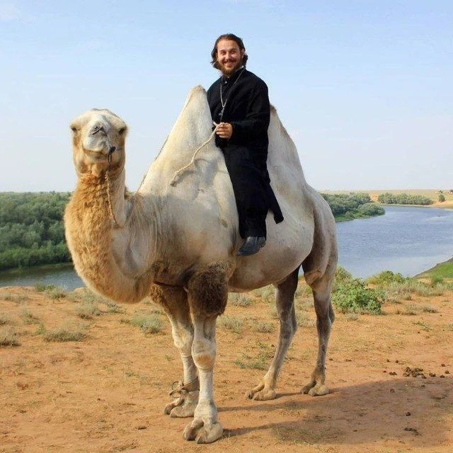 Логотип канала Священник Альвиан