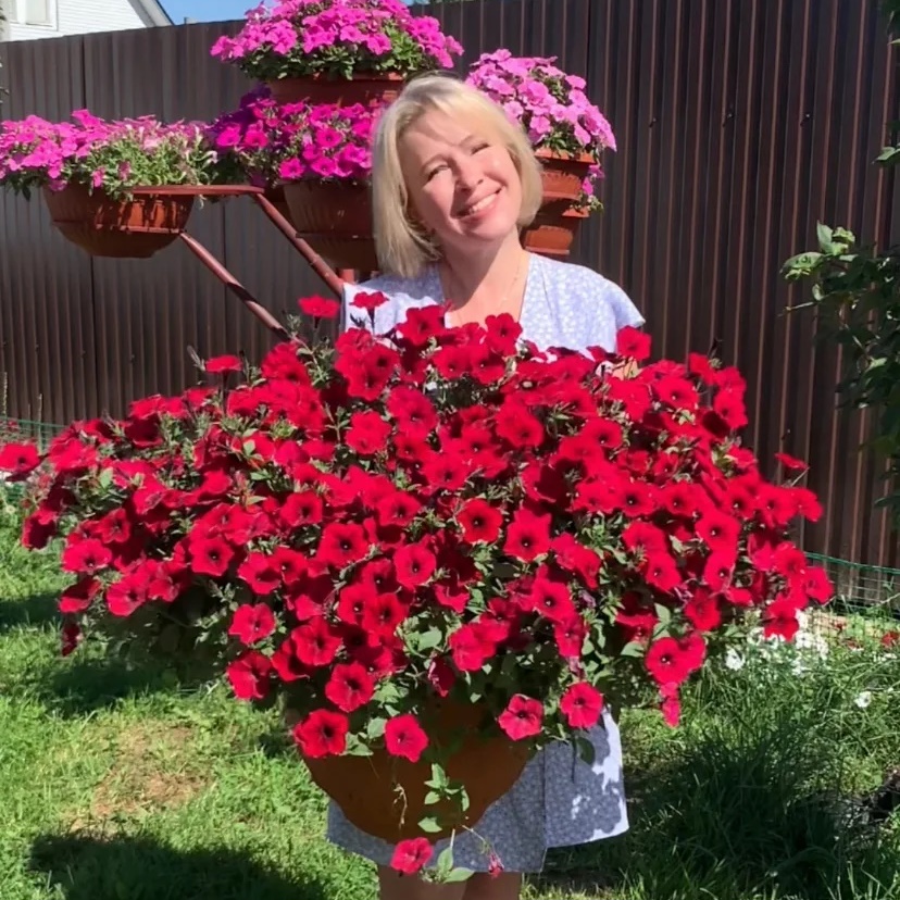 Петунии СамаМогу