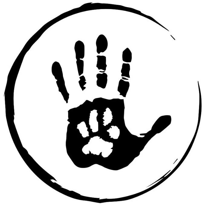 Как дела у тигруль?