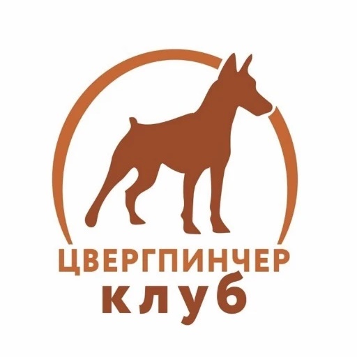 Фотография канала Max ЦВЕРГПИНЧЕР КЛУБ