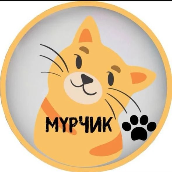 Логотип канала Мурчик 🐱