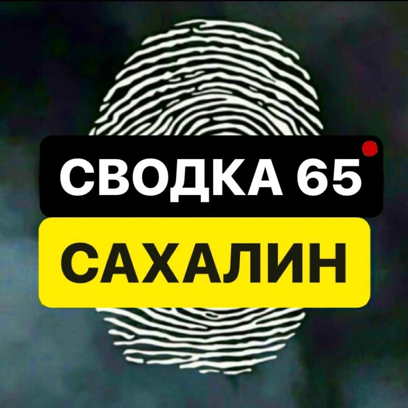Логотип канала СВОДКА 65 | САХАЛИН