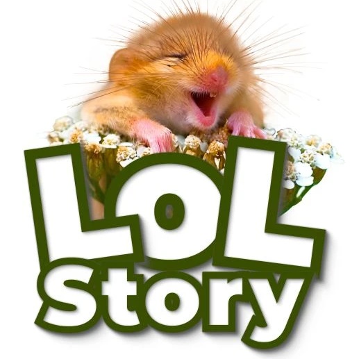 Фотография канала Max LOL.Story | Смешные истории из реальной жизни