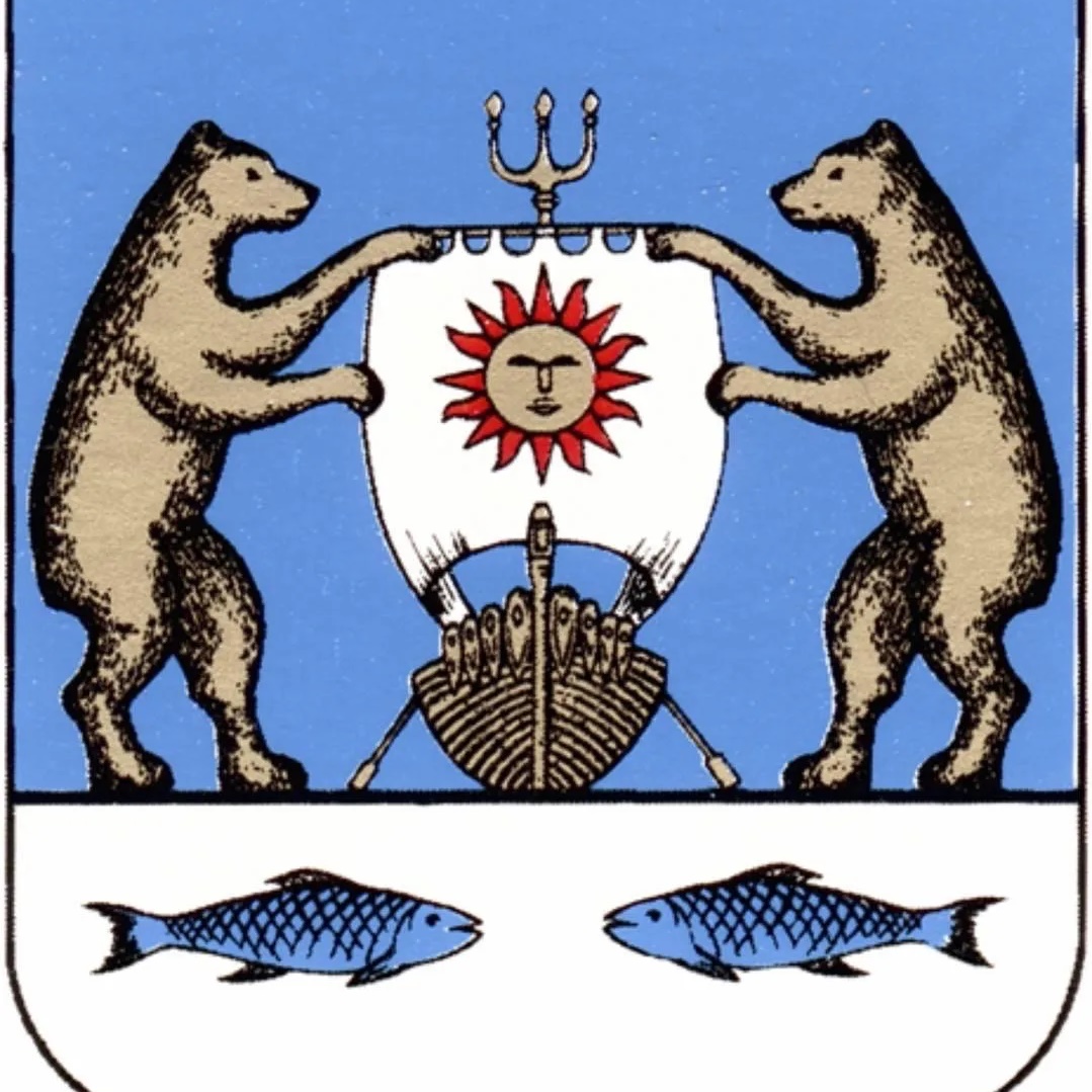 Логотип канала Новгородский муниципальный район