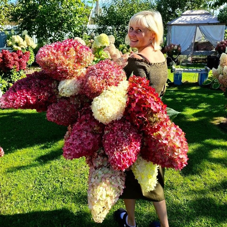 Логотип канала МОЯ ГОРТЕНЗИЯ