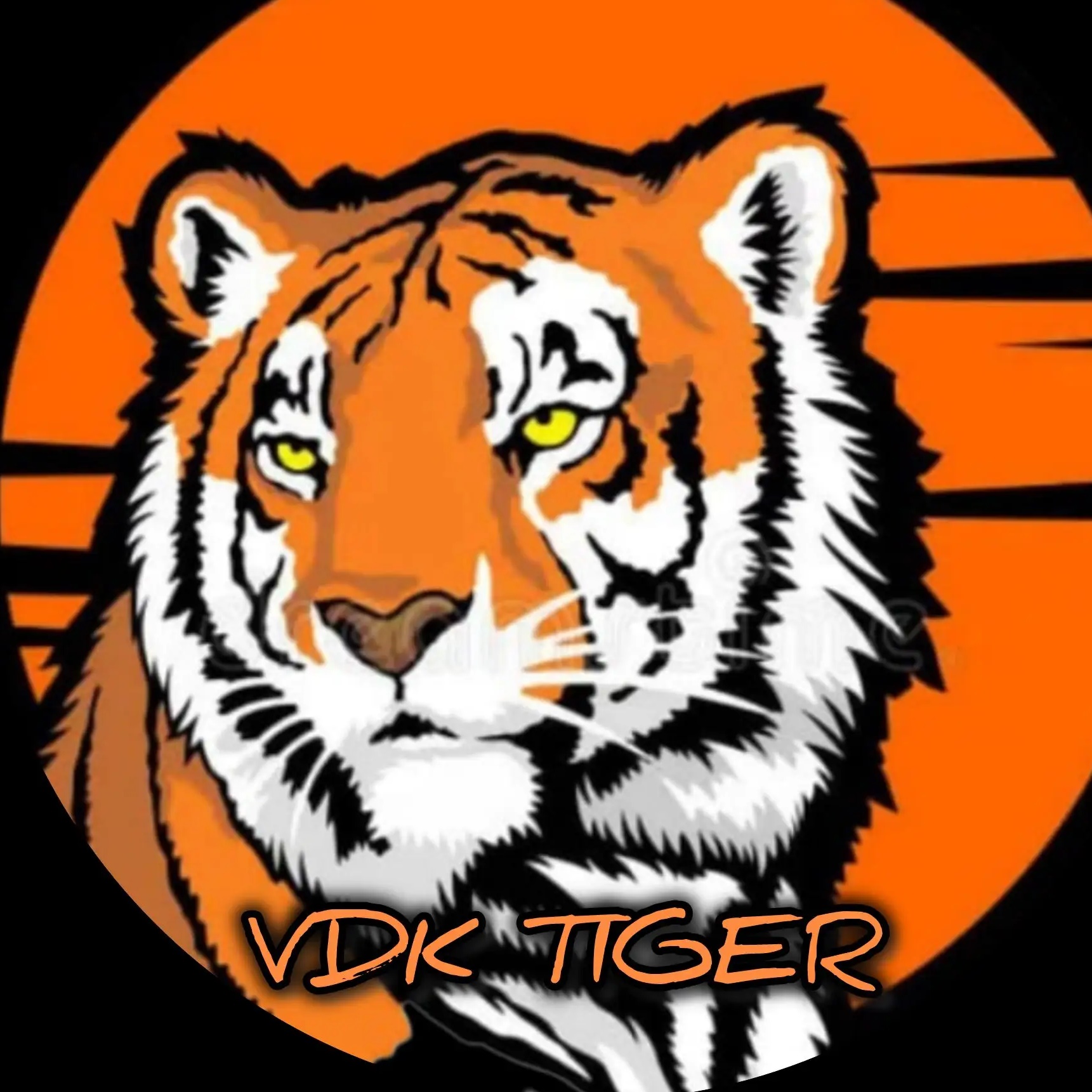 Логотип канала Владивосток Новости Сейчас Приморский край VDK_Tiger