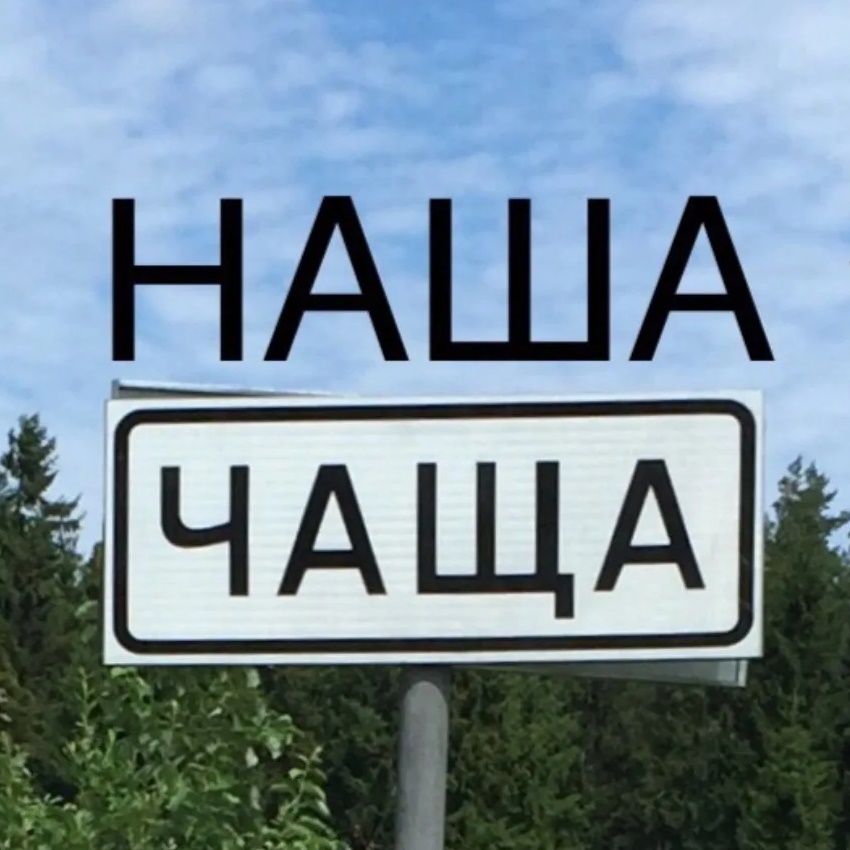 Фотография канала Max НАША ЧАЩА!