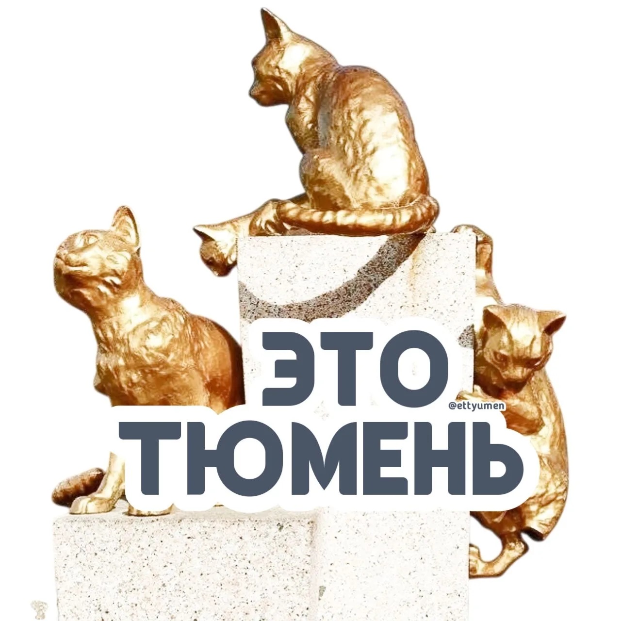 Фотография канала Max Это Тюмень