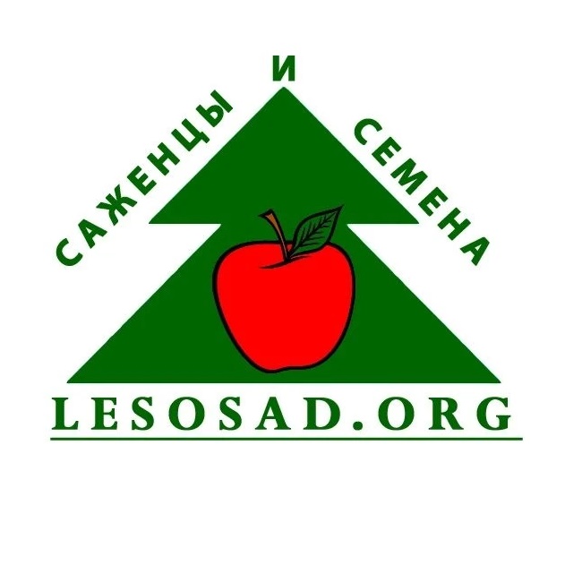 Фотография канала Max lesosad.org - саженцы, семена, товары для дачи