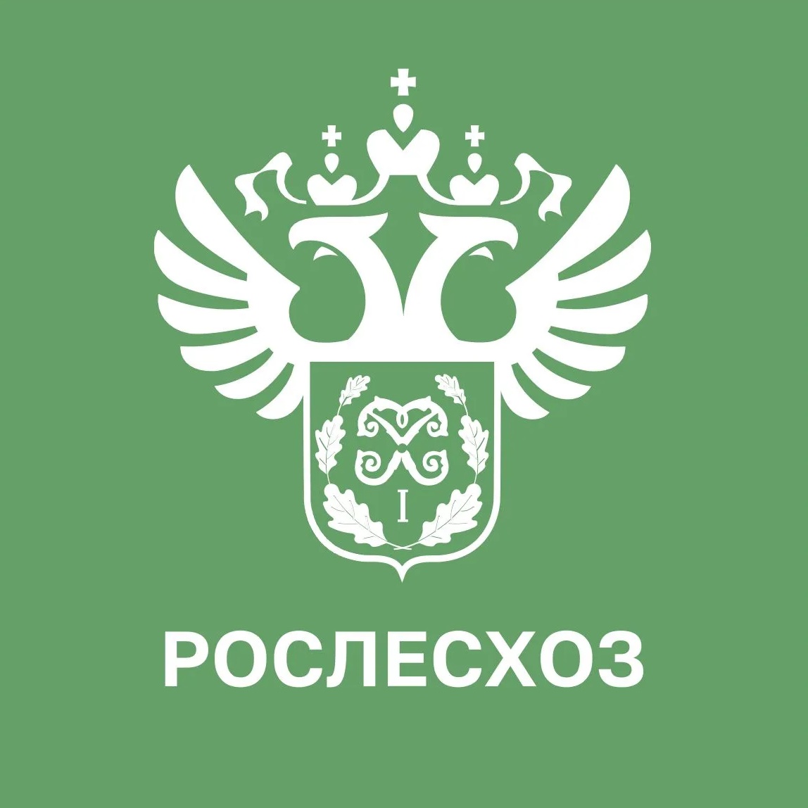 Фотография канала Max Рослесхоз