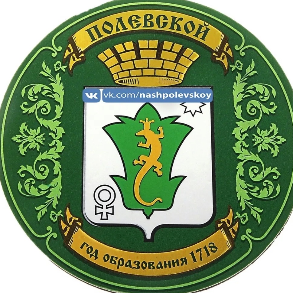 Логотип канала Наш полевской