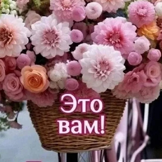 Фотография канала Max Лучшие ОТКРЫТКИ и ПОЗДРАВЛЕНИЯ