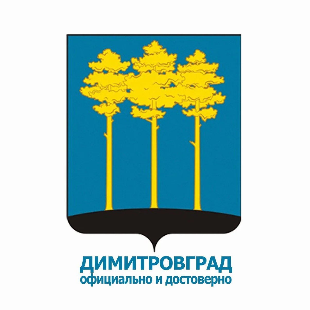 Логотип канала Администрация Димитровграда