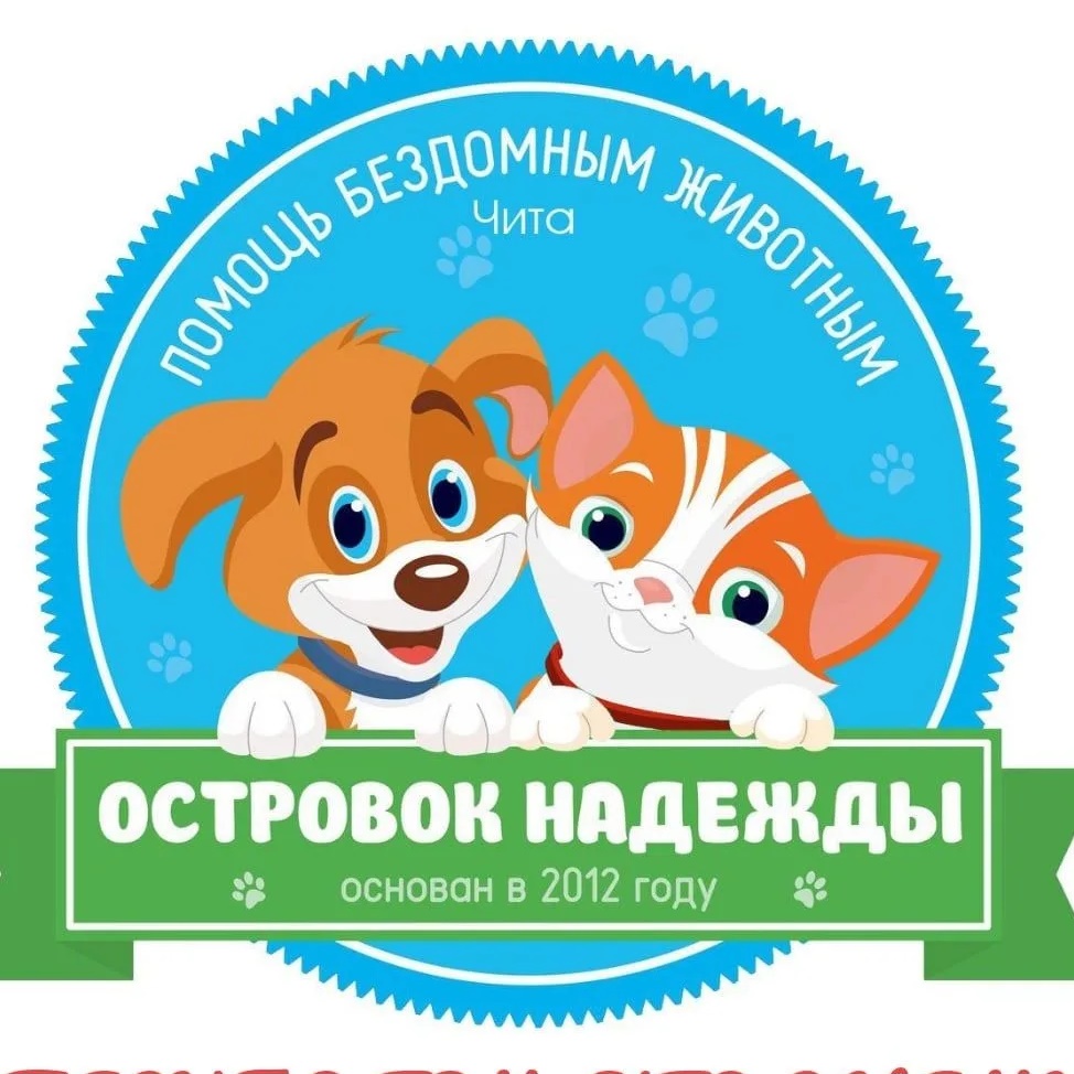 Фотография канала Max Островок надежды.Помощь бездомным животным.Чита