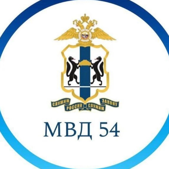Логотип канала Полиция54