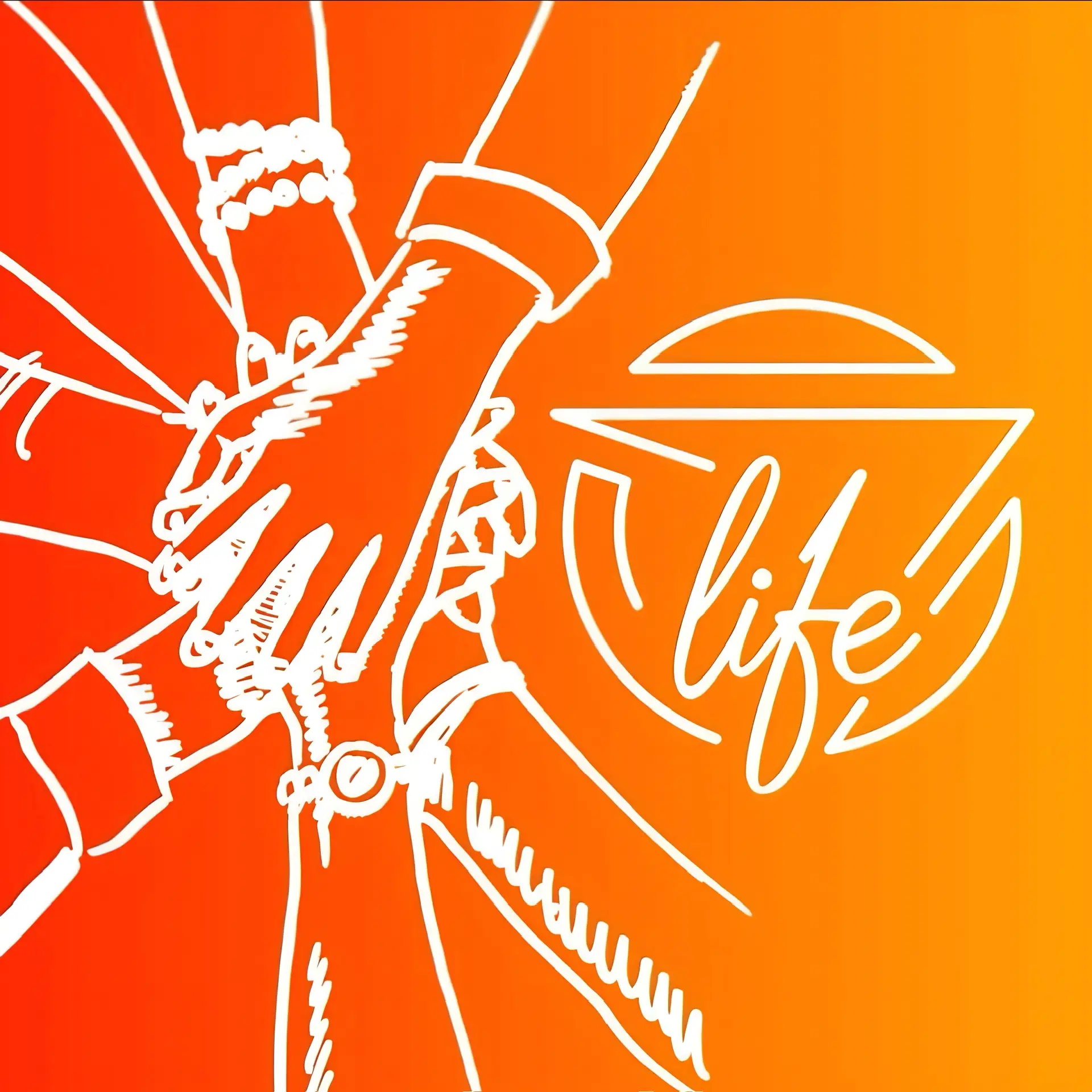 Жизнь Loginof🚚