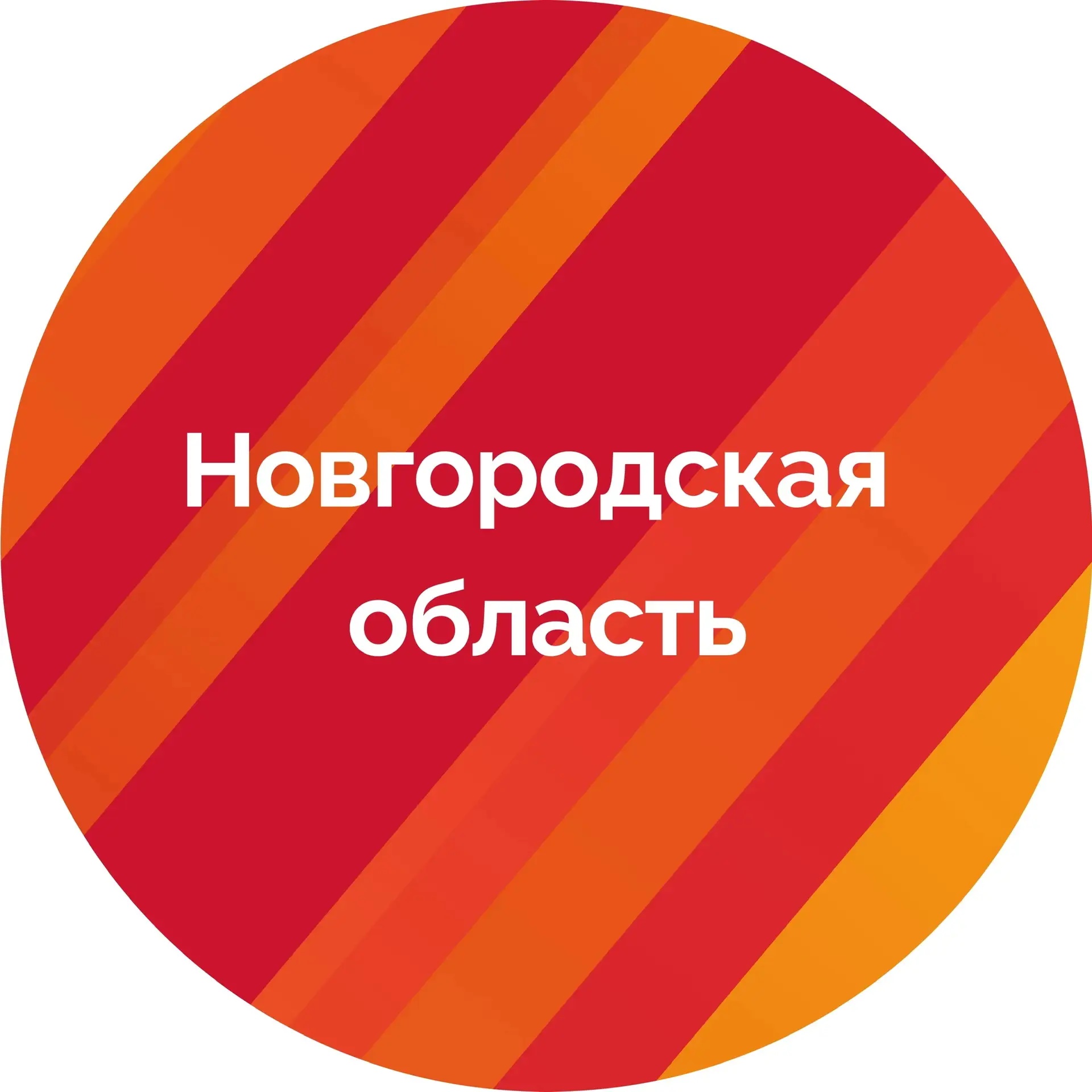 Фотография канала Max Правительство Новгородской области