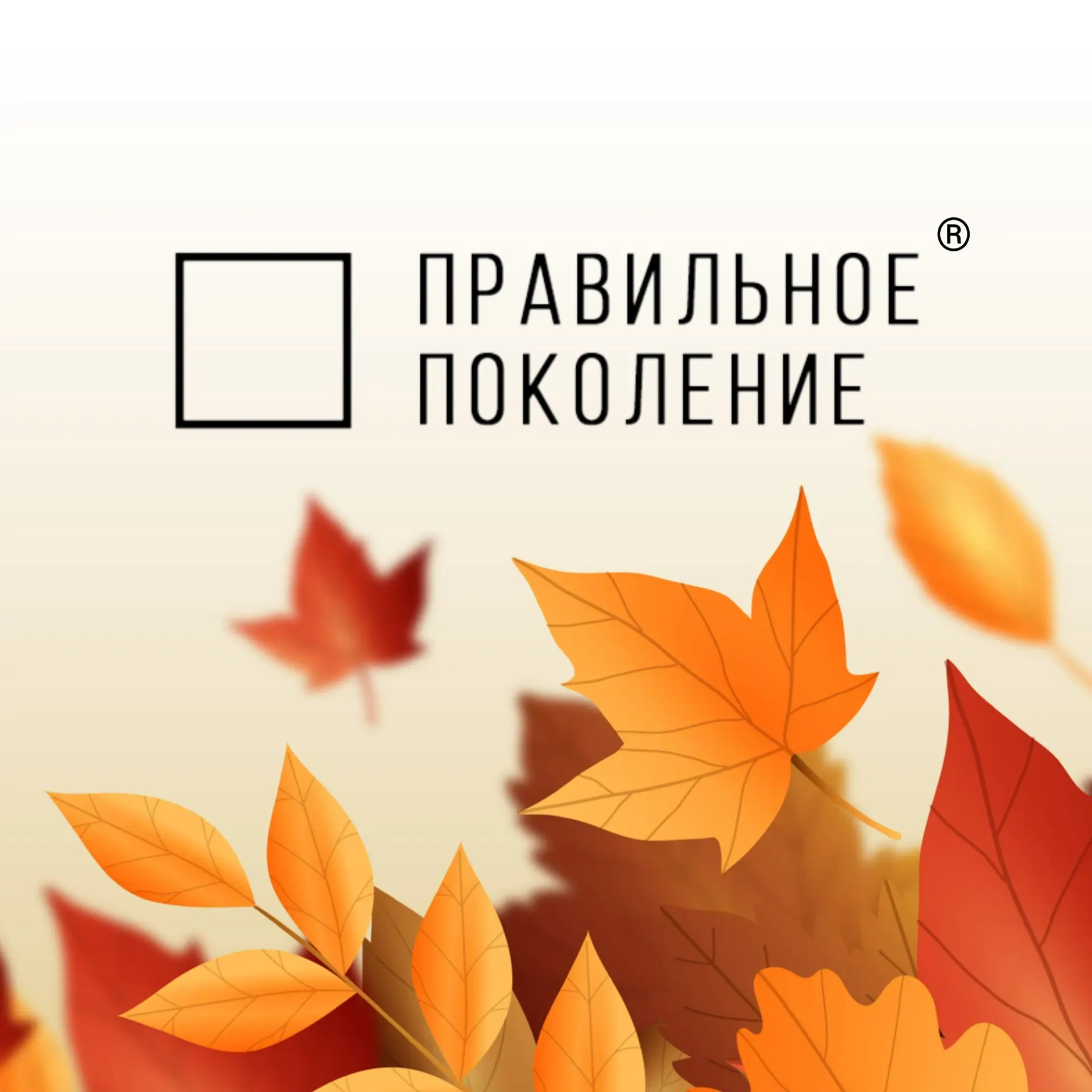Фотография канала Max Конкурсная организация "Правильное поколение"