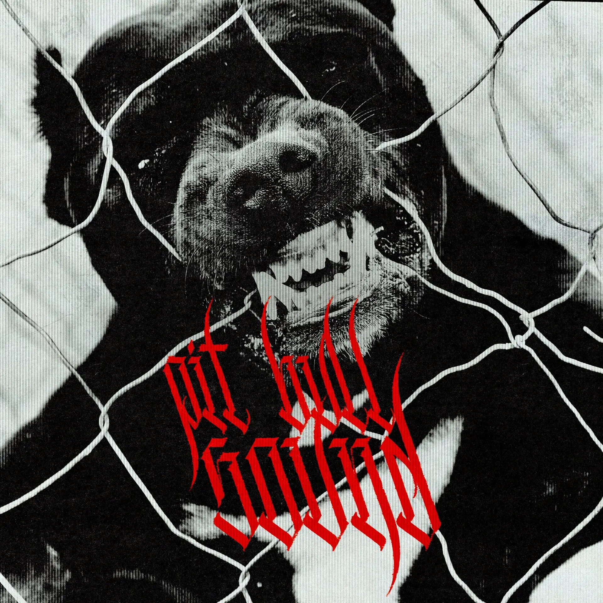 Фотография канала Max Pit Bull - Sound (Хип-хоп, Андеграунд)