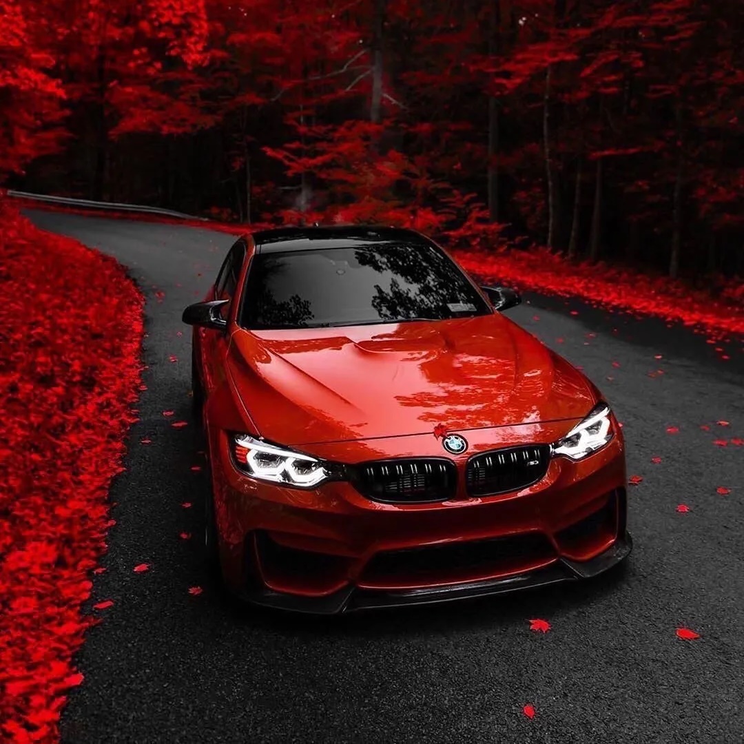 Фотография канала Max BMW