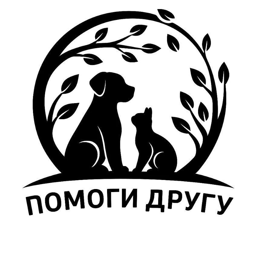 Фотография канала Max АНО «Помощь животным "Помоги другу"»