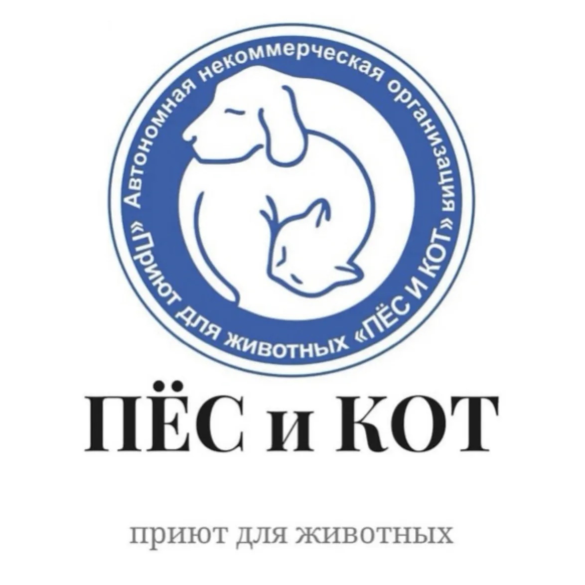 Приют Пес и Кот Южно-Сахалинск