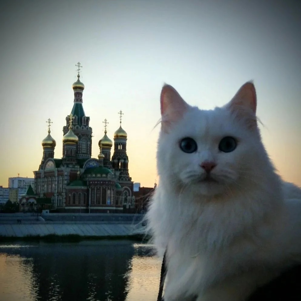 Фотография канала Max НОВОСТИ ЙОШКАР-ОЛА МАРИЙ ЭЛ