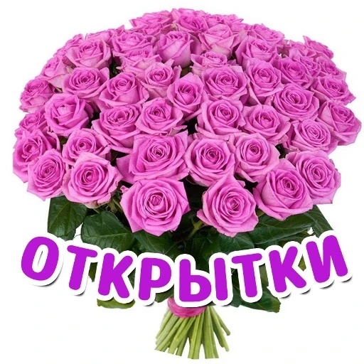 Фотография канала Max Открытки
