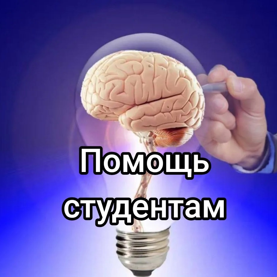 Фотография канала Max Помощь студентам