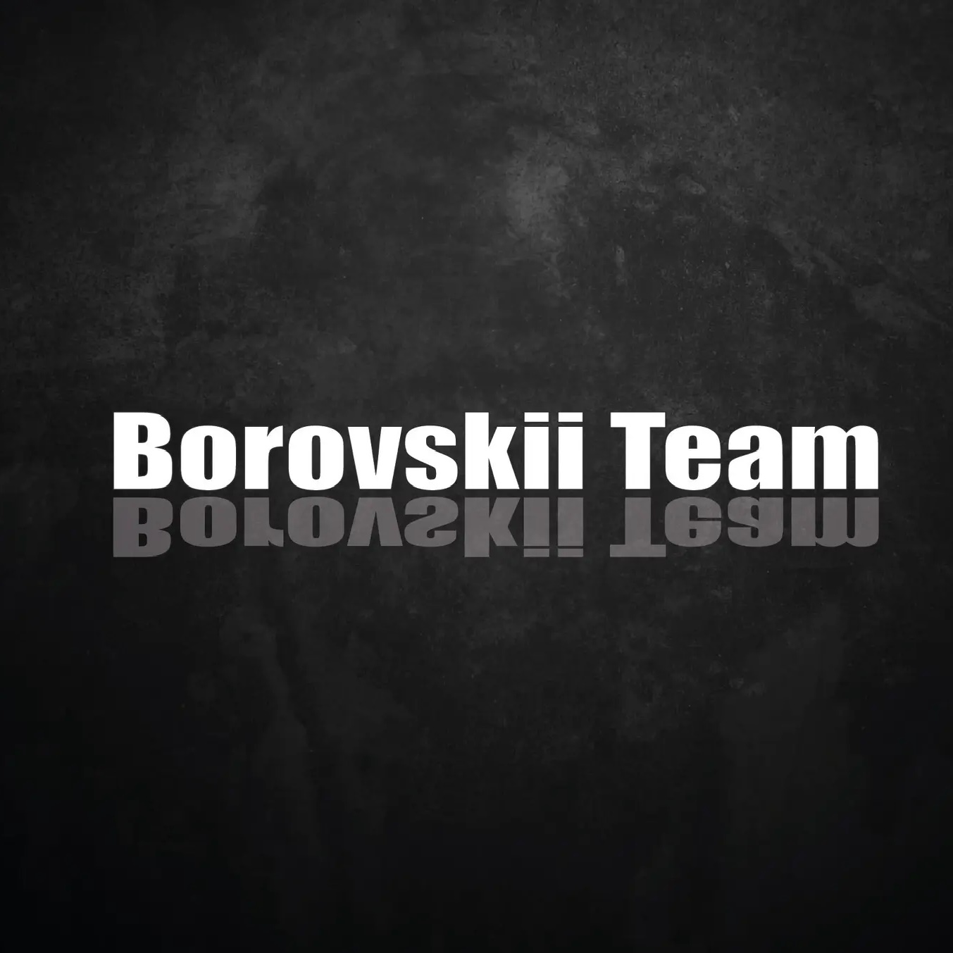 Логотип канала BorovskiiTeam 🏆
