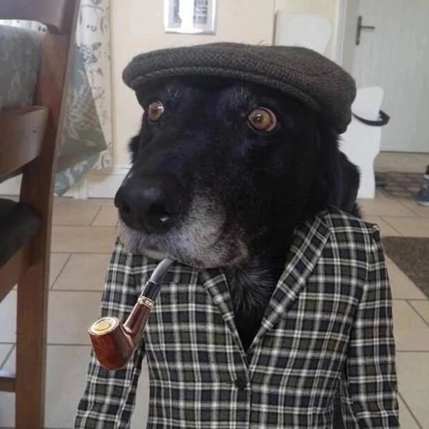 Логотип канала скачать