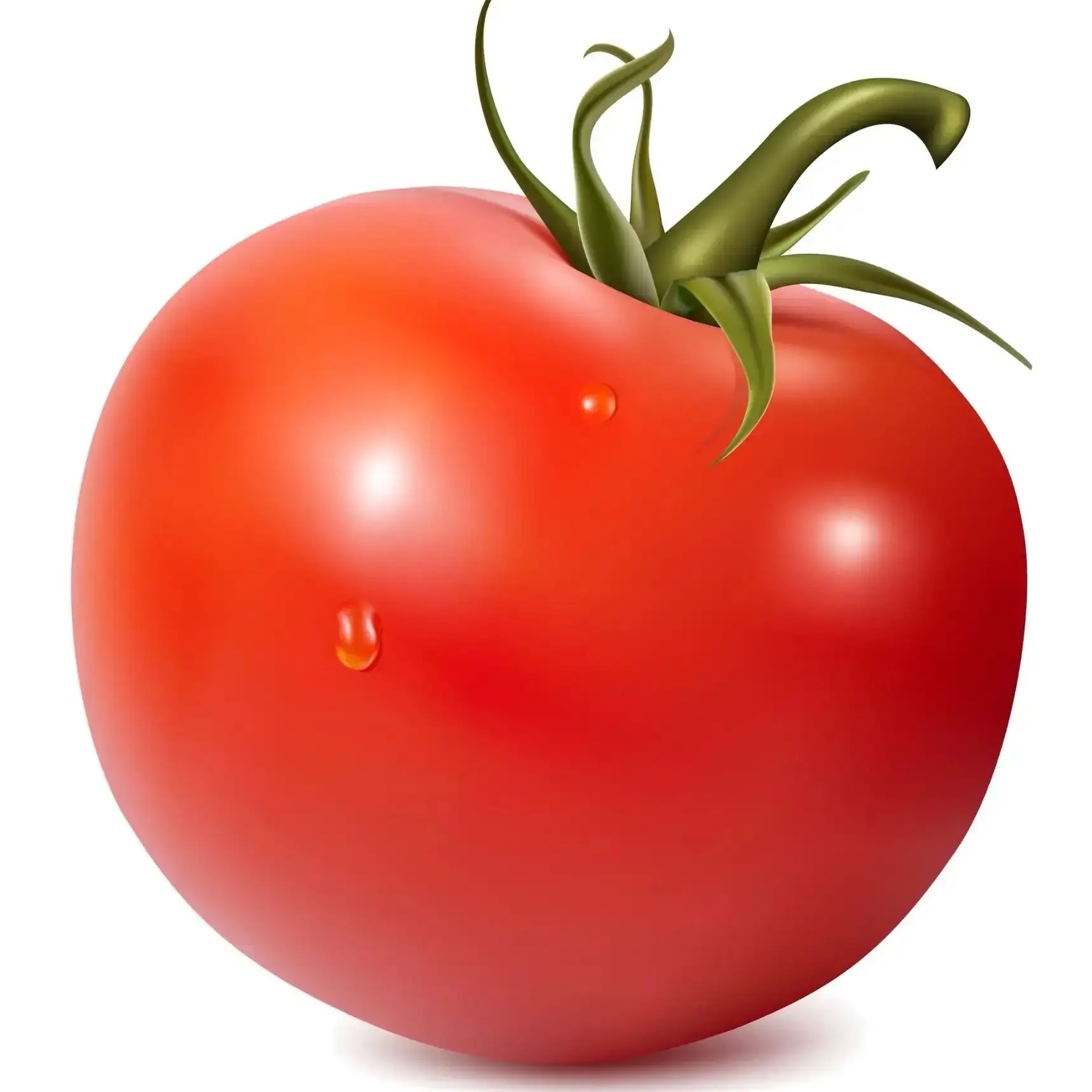 Логотип канала Дачный уголок: про сад и огород