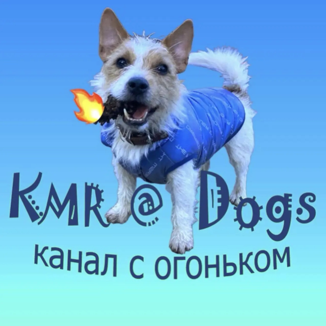 Фотография канала Max KMR@Dogs-животные, смешные животные, смешные видео, юмор, птицы, собаки, кошки, обезьяны.