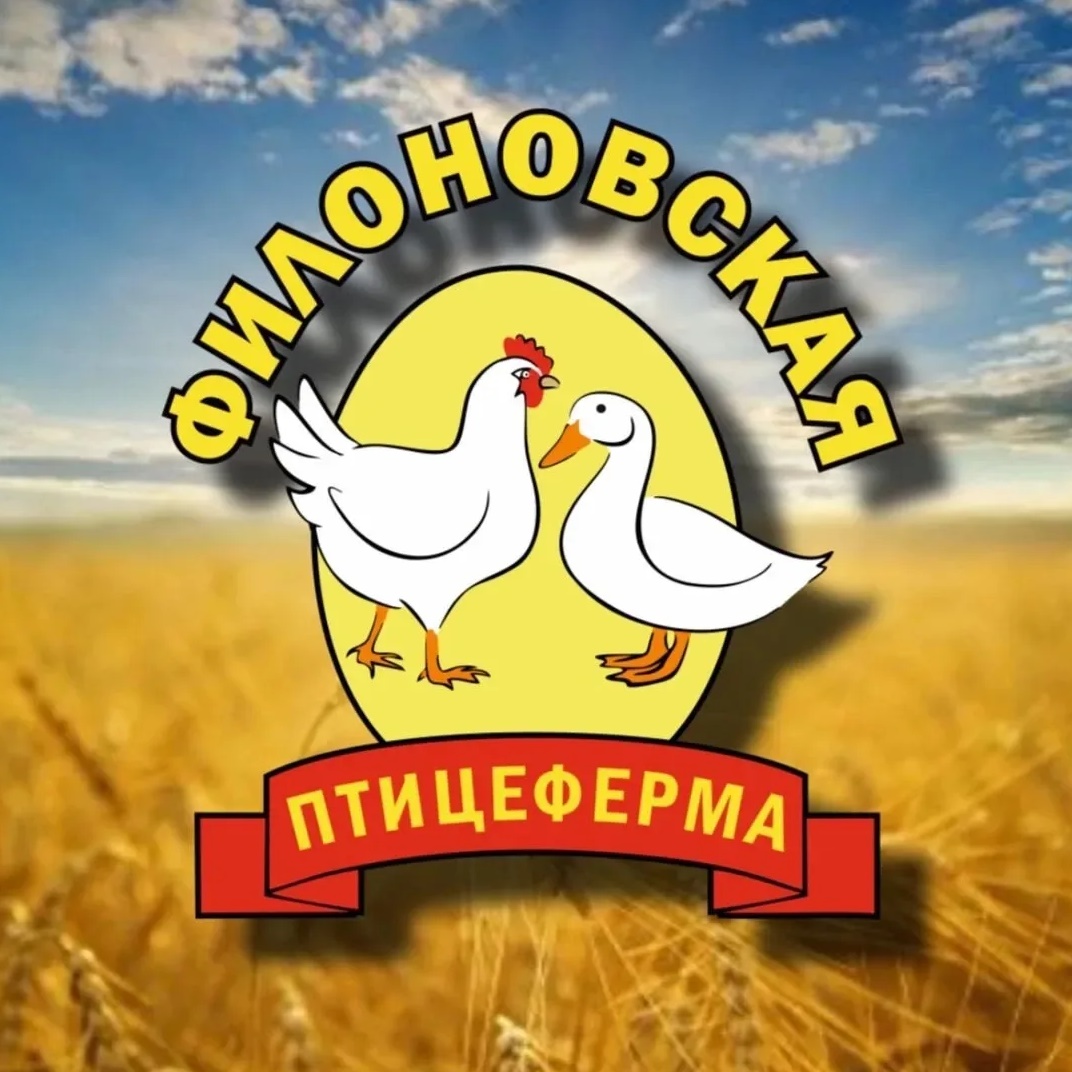 🐥Филоновская птицеферма🐣