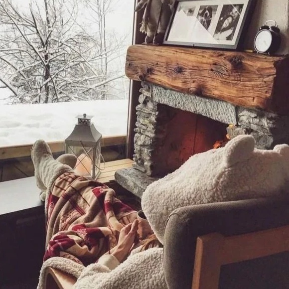 Comfort with WildBerries | Ozon 🌳