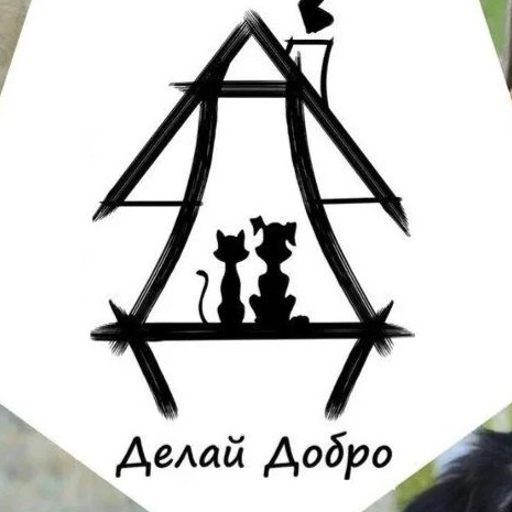 Фотография канала Max ДЕЛАЙ ДОБРО Бездомные Животные Волгодонска