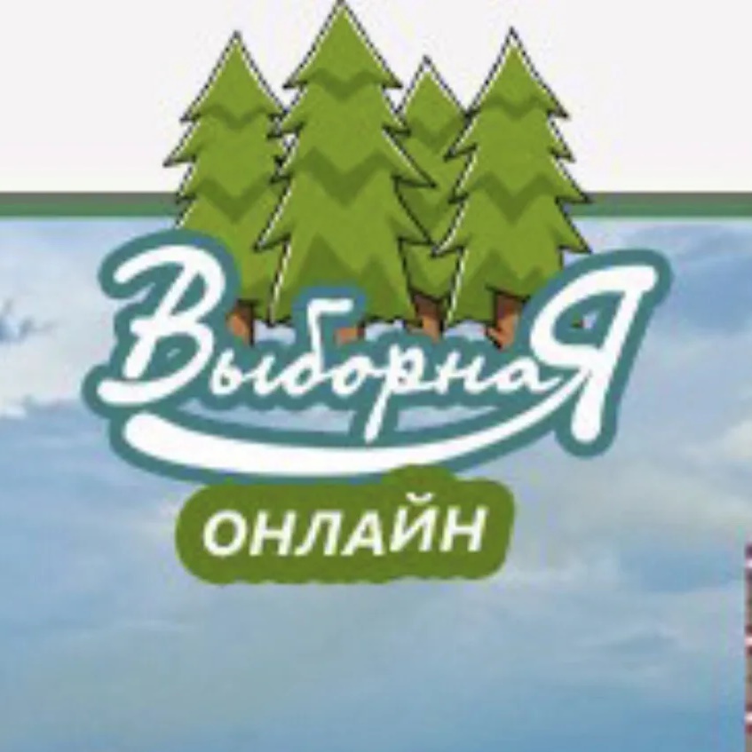 Фотография канала Max Выборная online (Новосибирск)