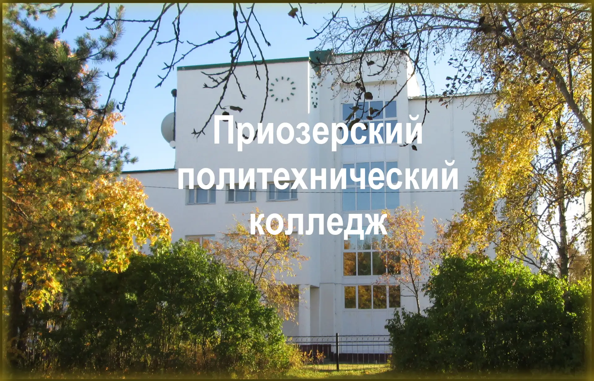 ПРИОЗЕРСКИЙ ПОЛИТЕХНИЧЕСКИЙ КОЛЛЕДЖ